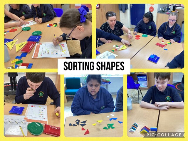 Image of Sorting shapes