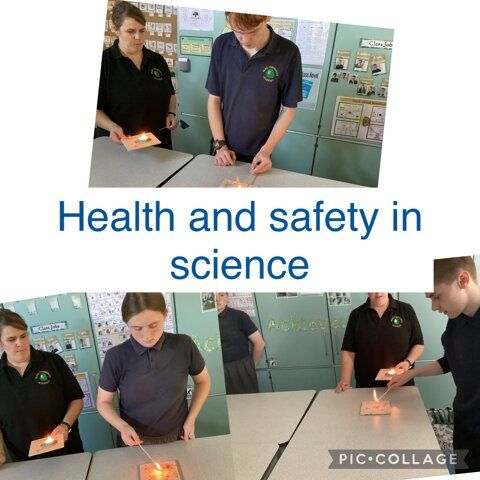 Image of Health and Safety in Science