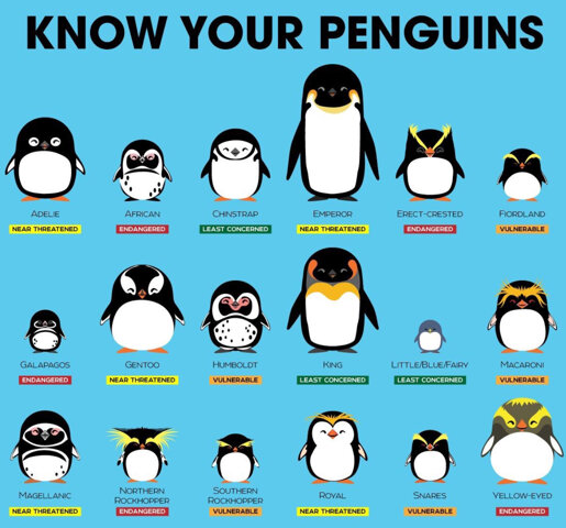 Image of World Penguin Day