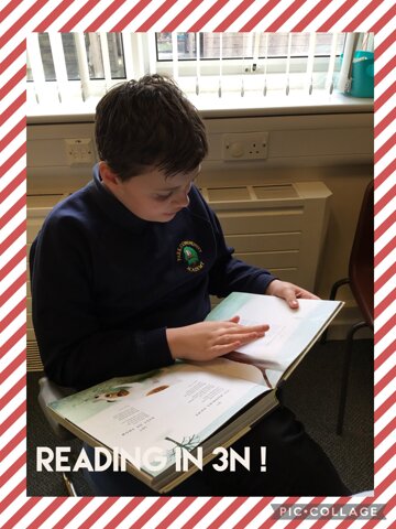 Image of Reading with 3N