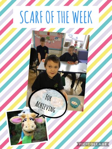 Image of Scarf of the week