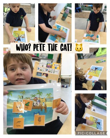 Image of Who? Pete the cat! 