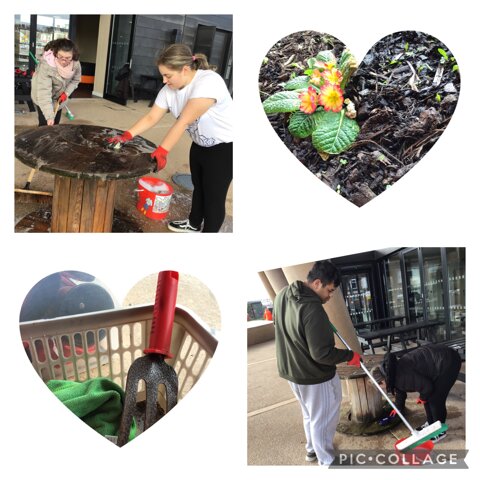 Image of 5S Gardening and creative project.