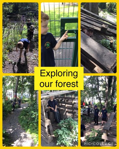 Image of Forest school 