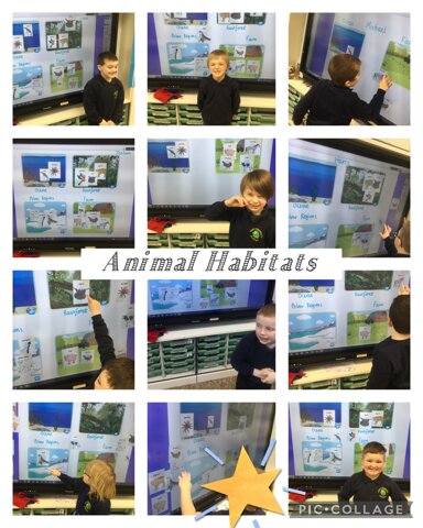 Image of Animal Habitats 