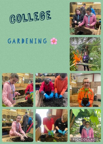 Image of Gardening 