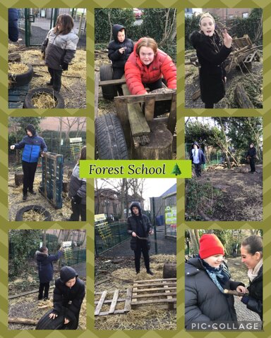 Image of Forest School 