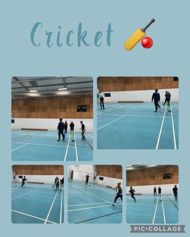 Image of Cricket 