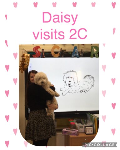 Image of Daisy visits 2C
