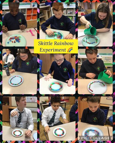 Image of Rainbow Skittle Experiment! 