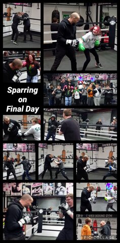 Image of Boxing Sparring at Davies Boxing Gym
