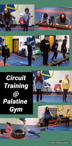 Image of Circuit Training At Palatine Gym 