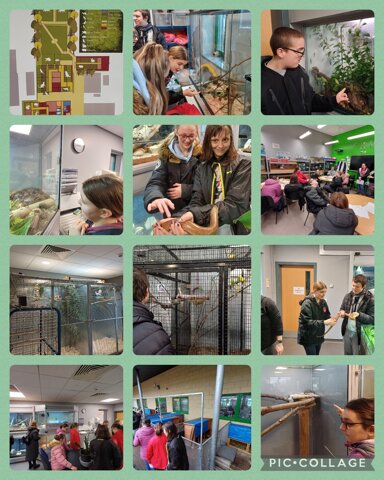 Image of Myerscough College: Animal Care.
