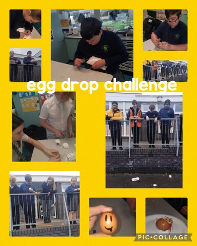 Image of Egg drop challenge 