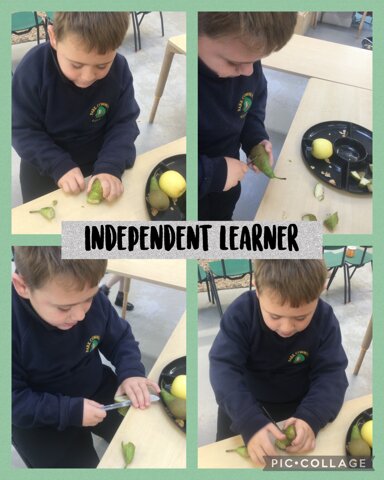Image of Independent learner 