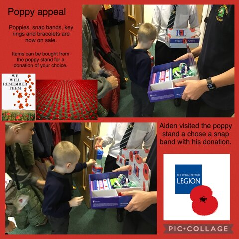 Image of Poppy appeal