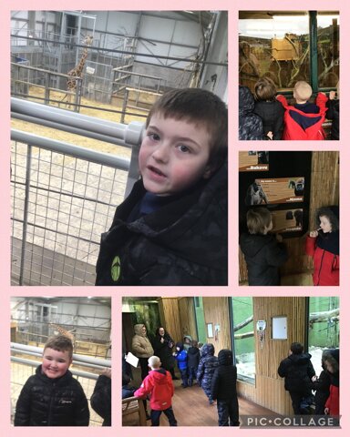 Image of Our trip to the Zoo