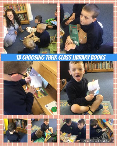 Image of Choosing our class library books 