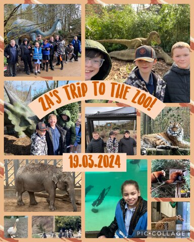 Image of 2A’s trip to the zoo!