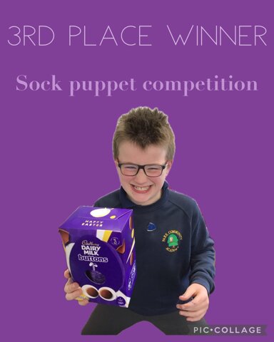 Image of 3rd Place Sock puppet competition winner 
