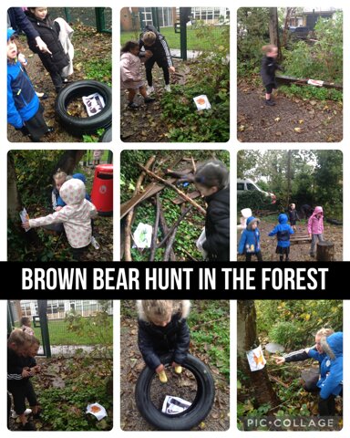 Image of Scavenger hunt for brown bear in the forest