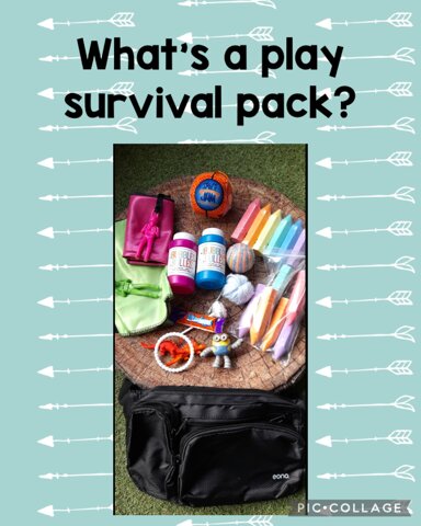 Image of Play survival packs 