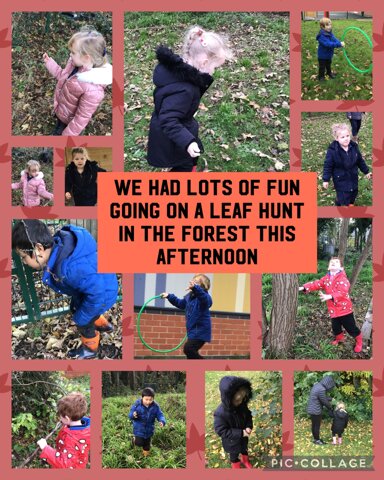 Image of Forest fun 