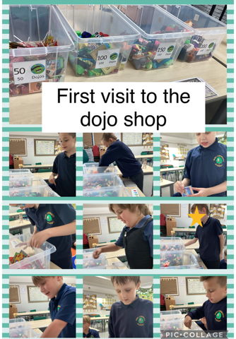 Image of First dojo shop 