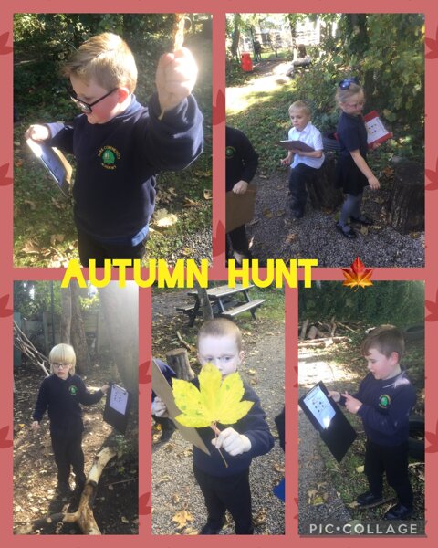 Image of We’re going on an Autumn hunt..
