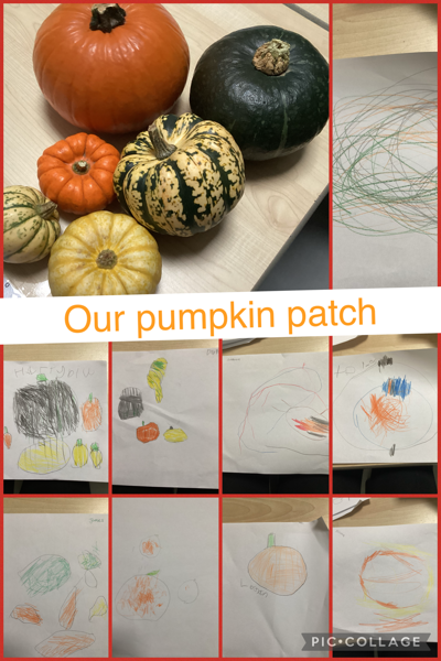 Image of Our pumpkin patch