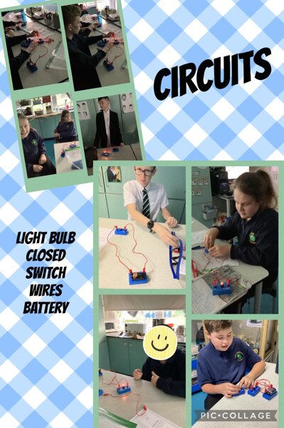 Image of Circuits 