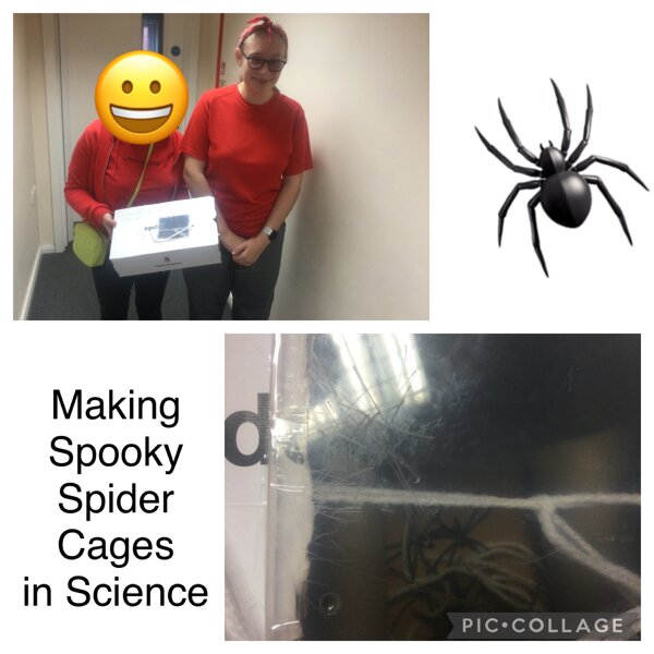 Image of Making Spooky Spider cages in Science